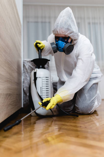 Best Indoor Pest Control  in Parsons, KS